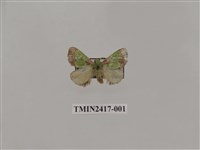 藏品(雙齒綠刺蛾)的圖片